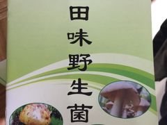 -蘑统田下·野生菌火锅