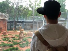 -昆明动物园