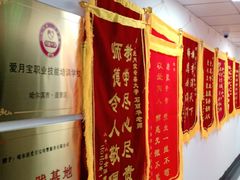 -爱月宝月嫂·育儿嫂(哈尔滨总店)