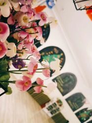 -瑜舍瑜伽连锁教室