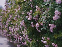 -UNI UNI(环亚凯瑟琳店)