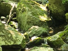 -关门山森林公园