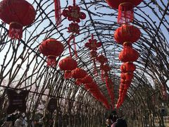 -武汉紫薇都市田园