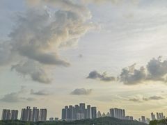 -月湖风景区