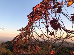 -香山公园