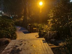 -青城道汤池