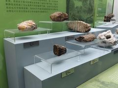 -云南省博物馆