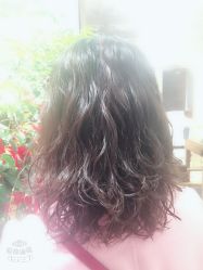 -渼树MSUTREE连锁沙龙