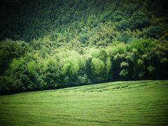 -敬亭山风景名胜区