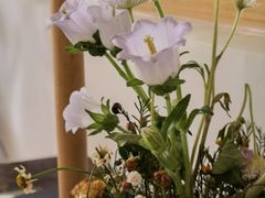 -In Cafe隐食研室