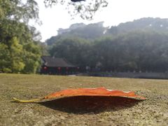 -豪客来牛排(鼓楼名店街店)