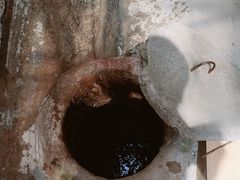-小洲村