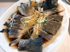清蒸鲈鱼-怡得观滇餐厅·地道昆明菜·1996(海埂大坝店)