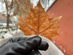 -河南省黄河迎宾馆