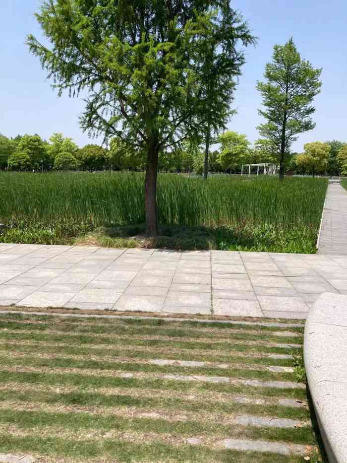华翔绿地"蓝天白云下的华翔绿地公园景色宜人,红叶.
