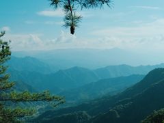 -王顺山国家森林公园