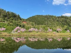 -常德桃花源景区