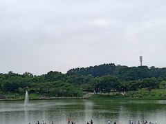 -东莞植物园