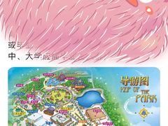 -巨鹏飞梦幻海岸