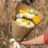 便不算离开，春草绿，清明来，清明节是踏青好时节