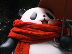 -轩客会(熊猫书店)