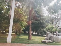 -河南省黄河迎宾馆