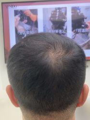 -YESIDO椰岛造型