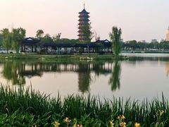 -葛仙湖公园