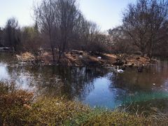 -长白岛森林公园