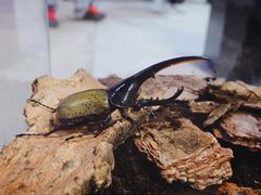 -燕莎友谊商城(亮马桥店)