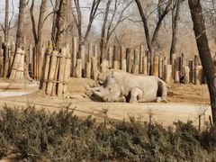 -北京野生动物园