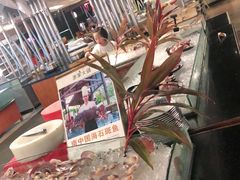 -渔家火锅·海鲜自助餐·演艺(亚龙湾天域酒店)