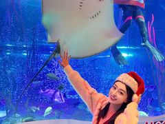 -沈阳海洋探索中心