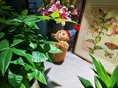 -时光花园(白鹭洲店)