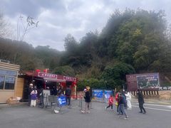 -千岛湖天屿景区