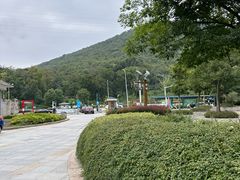 -南京老山国家森林公园