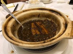 -帝皇楼