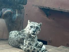 -青藏高原野生动物园