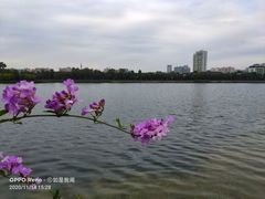 -南宁南湖公园