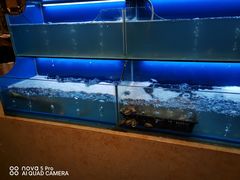 水产区-芭菲盛宴·环球美食(北城国际店)