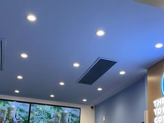 -一只酸奶牛(春熙路店)