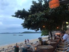 -Coco Tam’s