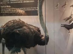-烟台自然博物馆