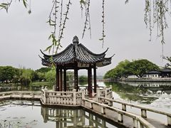-江心屿景区