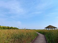 -西青郊野公园