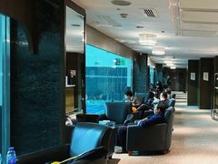 -齐动力网球培训(国贸店)