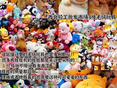 -西北轻工批发市场