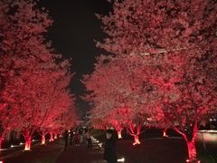 -新天地活力PARK