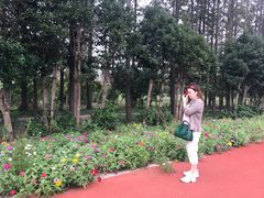 -上海长兴岛郊野公园