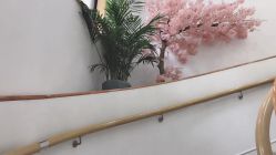 点击看大图 -WENDY·温迪皮肤管理